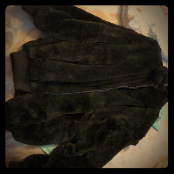 Carole Little Jackets & Blazers - Coat